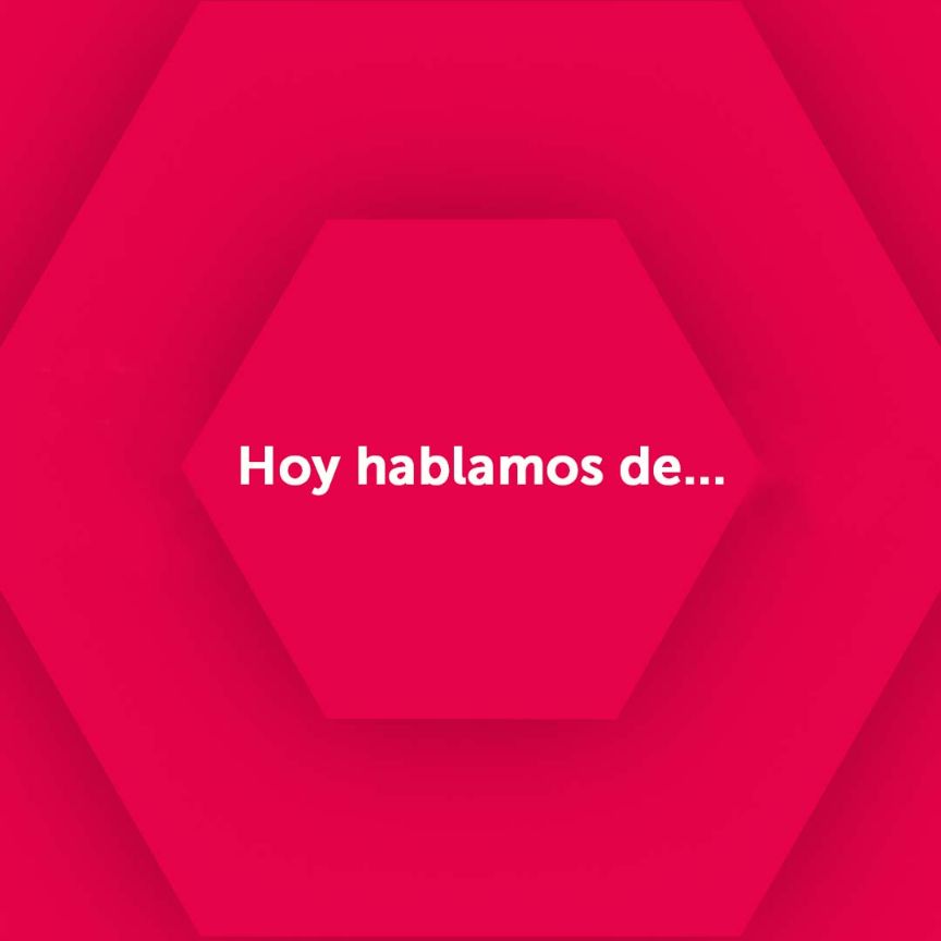 Hoy hablamos de...