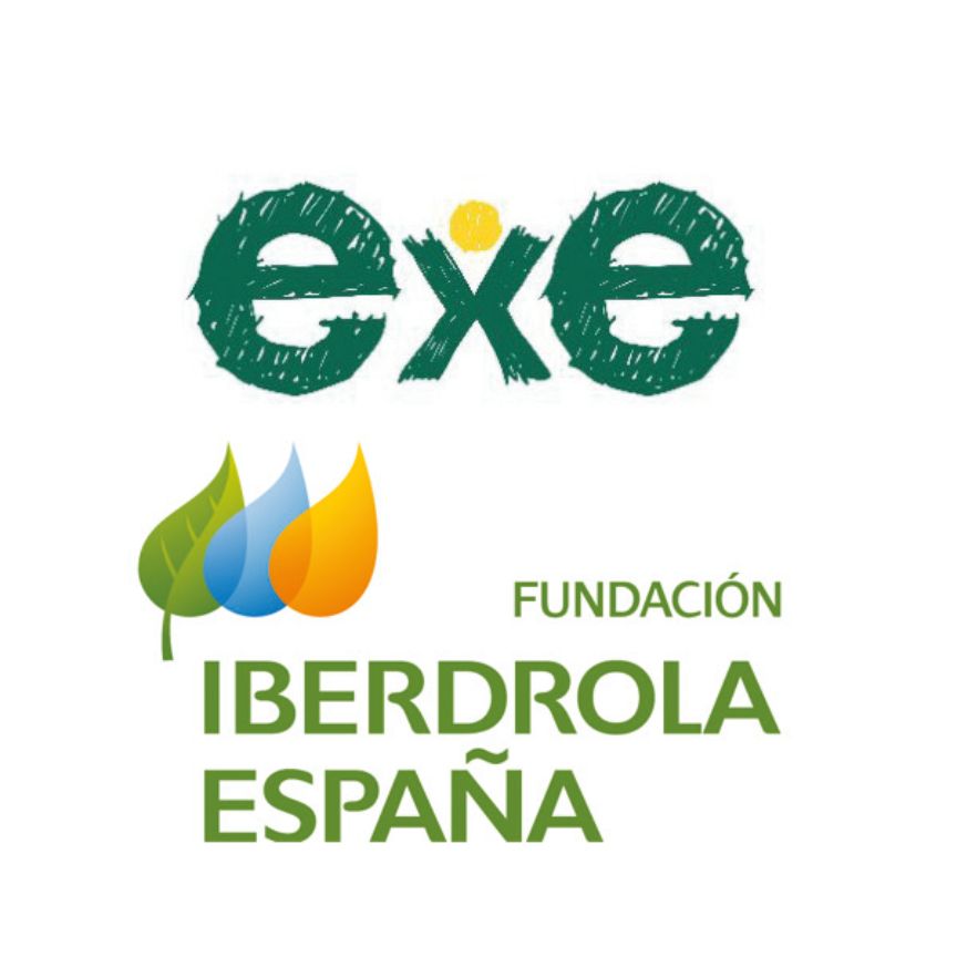 logos exe y fundación iberdrola