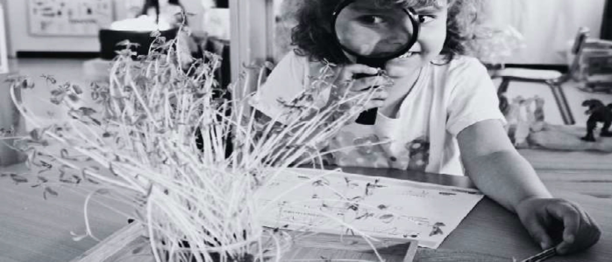 Imagen de alumna con lupa en aula