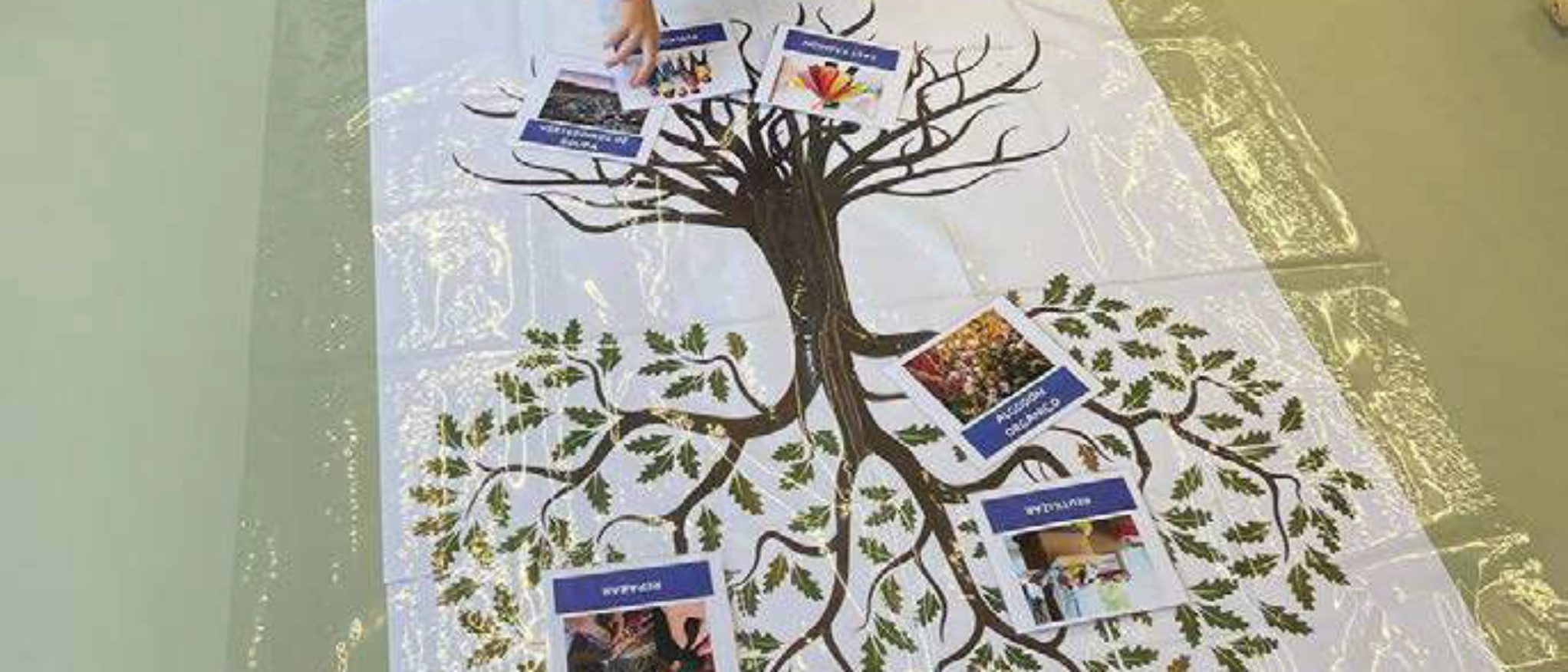 Actividad de dibujo de árbol de taller científico