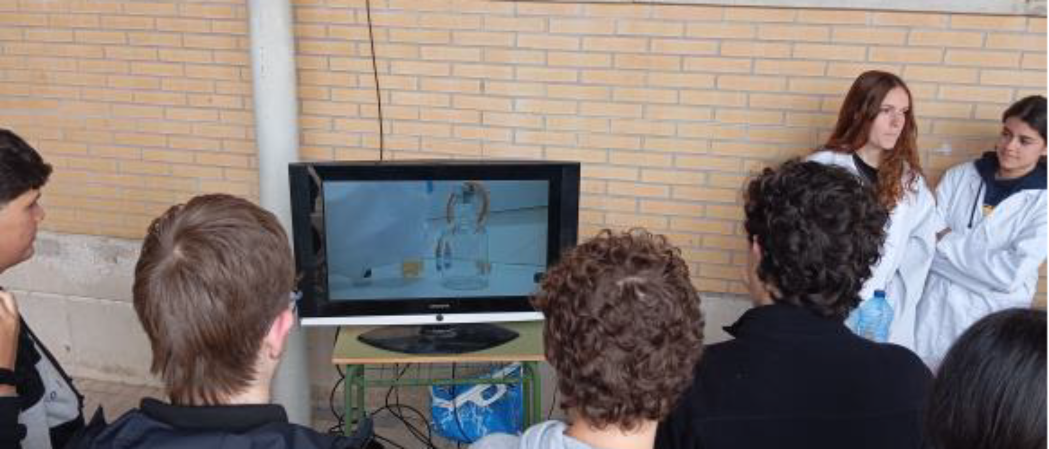 Imagen de alumnos viendo un vídeo dentro de la actividad A6