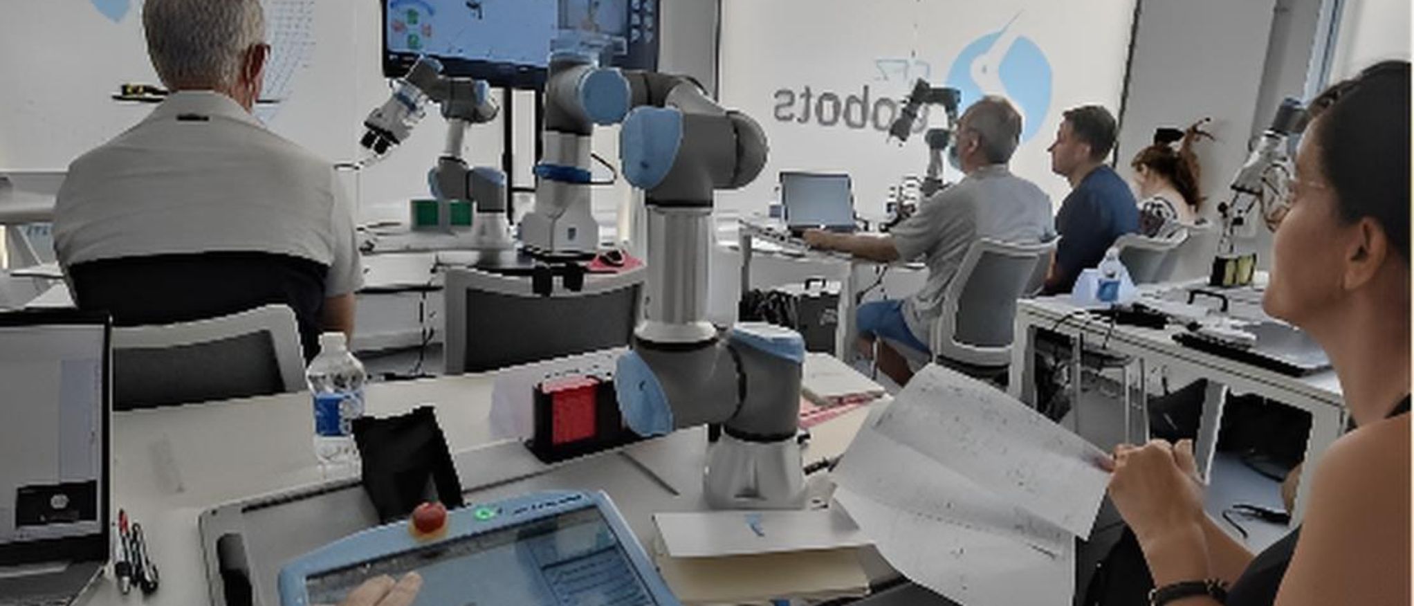 Imagen de formación en streaming entre centros participantes del Proyecto de Innovación