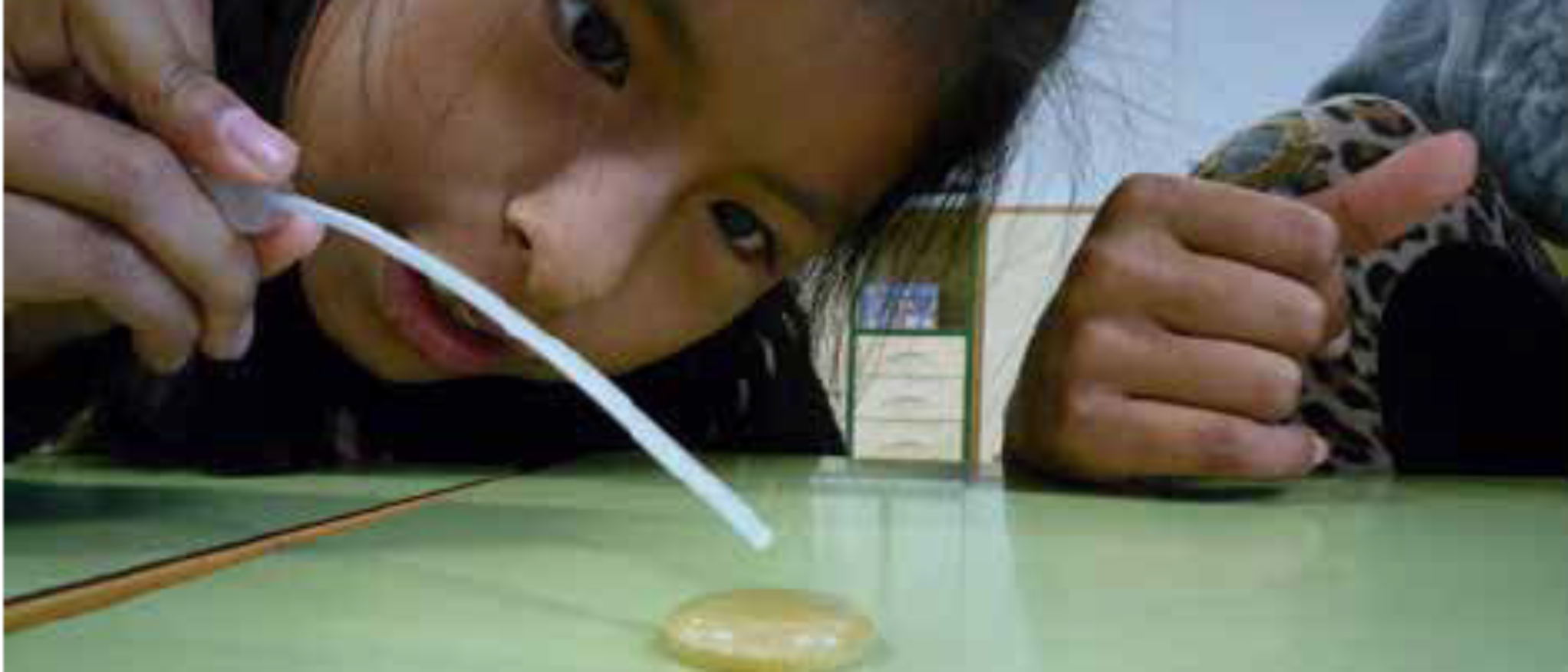 Imagen de alumnas de primaria realizando experimentos sobre las fuerzas de cohesión y adherencia